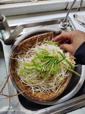 素炒豆芽，无敌好吃的做法 步骤8