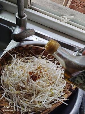 素炒豆芽，无敌好吃的做法 步骤6