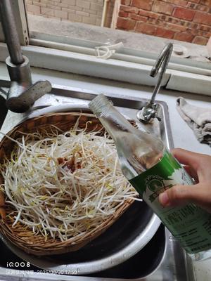 素炒豆芽，无敌好吃的做法 步骤5