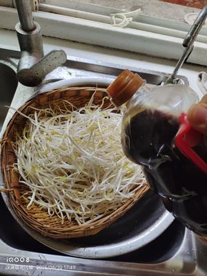 素炒豆芽，无敌好吃的做法 步骤2