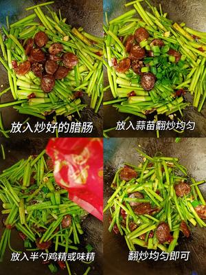 野芹菜炒麻辣腊肠Ｉ春日限定菜香辣下饭巨好吃的做法 步骤3