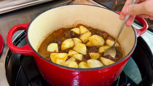 番茄土豆炖牛肉🥘的做法 步骤16