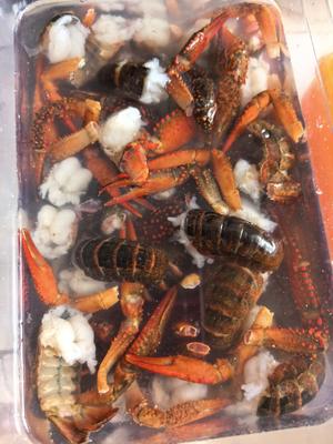 蒜蓉小龙虾（配洗虾好方法）的做法 步骤1