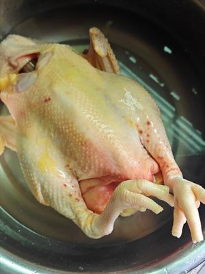 今日吃鸡【酱油鸡】的做法 步骤1