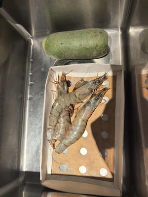 胶东家常菜—萝卜炖虾的做法 步骤1