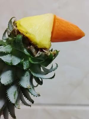 高颜值氛围拉满：鸟语花香菠萝饭的做法 步骤5