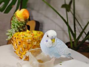 高颜值氛围拉满：鸟语花香菠萝饭的做法 步骤16