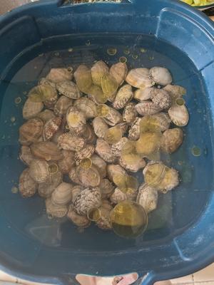 香辣花甲的做法 步骤1