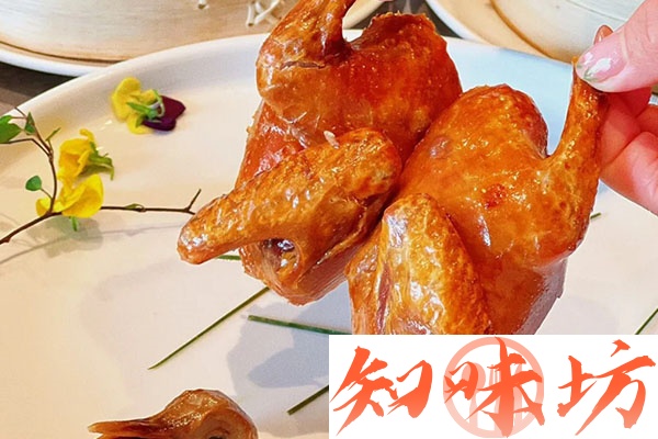 1081-璃乳鸽.jpg 1081-璃乳鸽.jpg