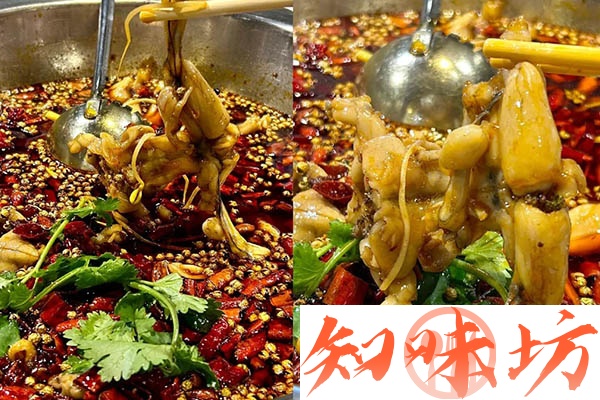 2044-美蛙鱼头.jpg 2044-美蛙鱼头.jpg