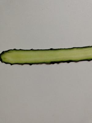 创意蒸鸡蛋——秋景的做法 步骤8