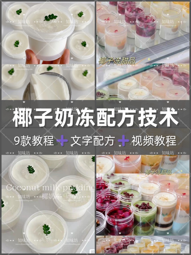 9款椰子奶冻课程颜值天花板技术配方教程摆摊创业商业配方