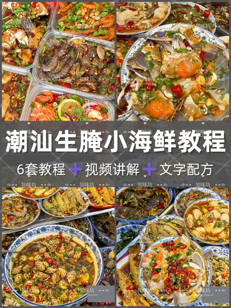 潮汕生腌海鲜餐饮配方技术制作地摊店铺开店教程培训小吃摆摊