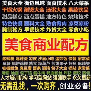 全国各地著名特色小吃配方技术教程摆摊创业小吃餐饮视频资料大全