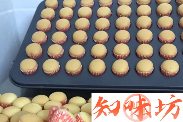 烘焙蛋糕仔书籍教学及视频教程