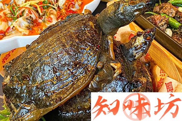 金沙酱甲鱼技术配方和视频教程