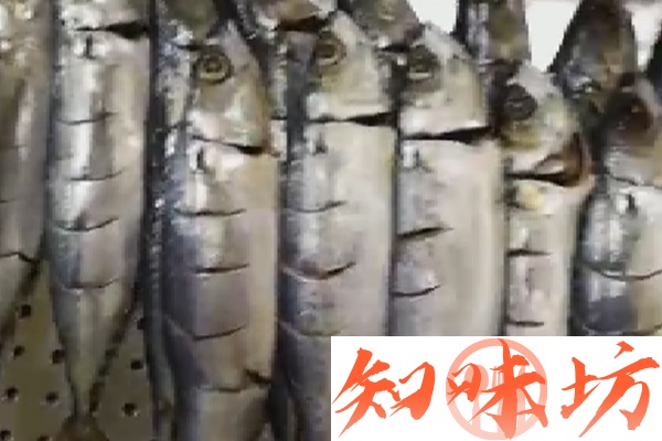 茄汁鱼技术配方资料