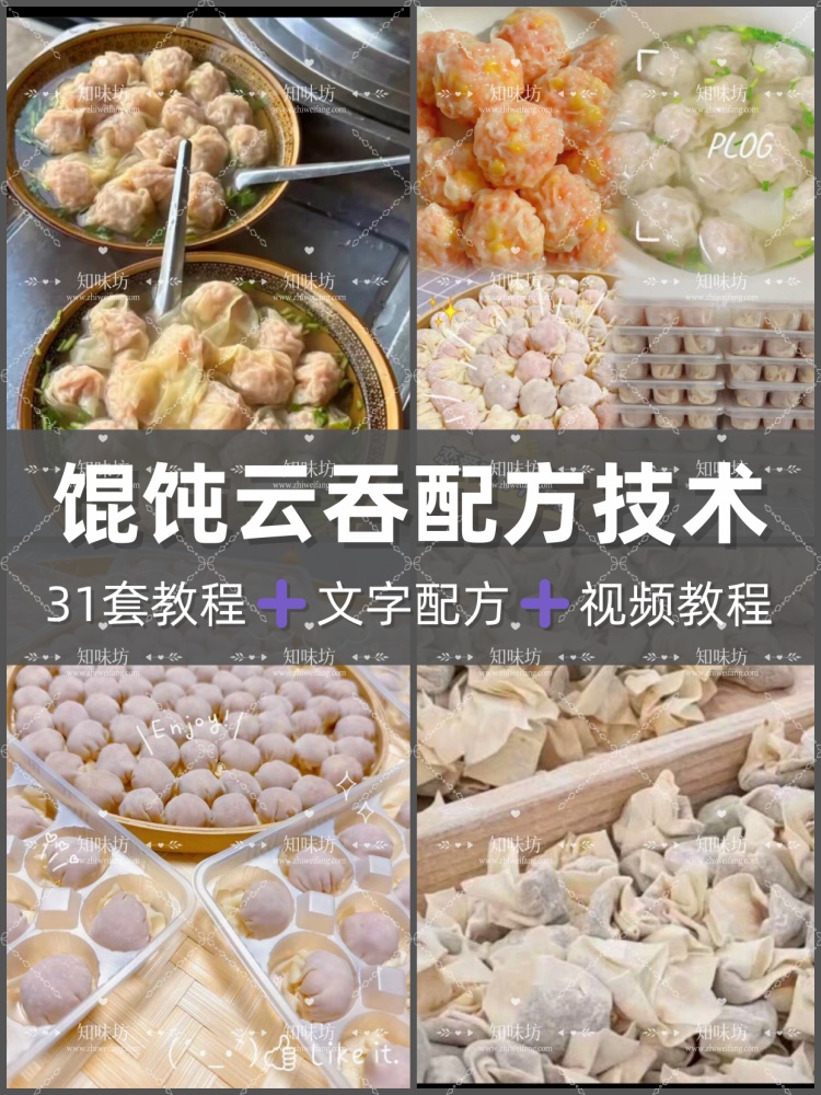 馄饨配方教程技术混沌水饺培训课程商用摆摊开店视频教学全集