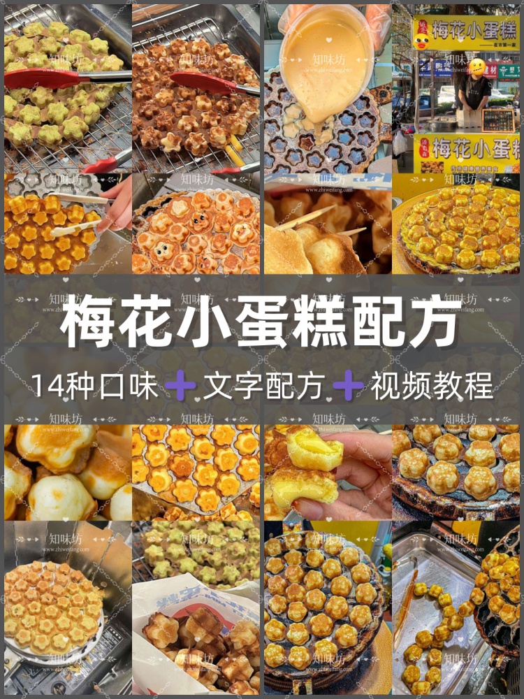 梅花小蛋糕技术配方14种口味面糊制作食材处理12种口味制作商用
