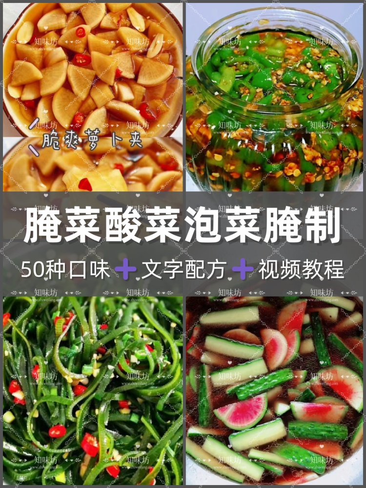 泡菜技术配方各地特色小菜酸菜泡菜腌制技术大全 腌菜技术配方